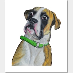 Basset Hound Dog face Posters and Art